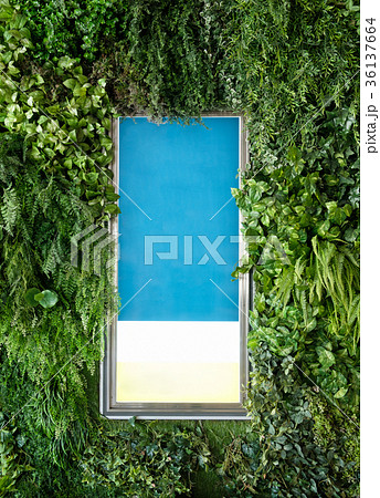 Blank signboard advertise with cover green foliage Blank signboard advertise with cover green foliage 36137664