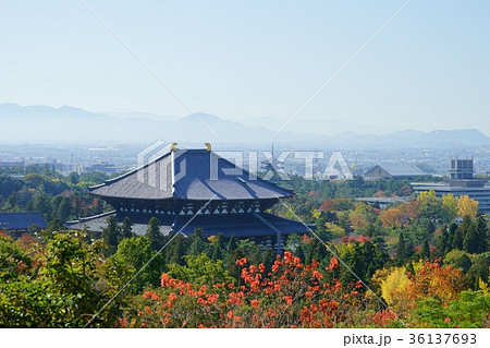 秋・朝靄の東大寺4 秋・朝靄の東大寺4 36137693