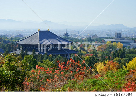 秋・朝靄の東大寺５ 36137694