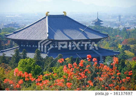 秋・朝靄の東大寺8 秋・朝靄の東大寺8 36137697
