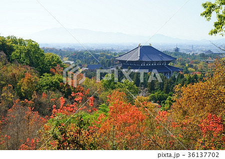 秋・朝靄の東大寺13 秋・朝靄の東大寺13 36137702