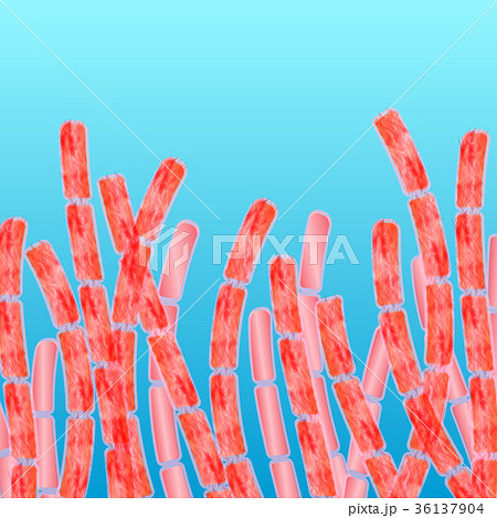 multicellular organism algae 36137904