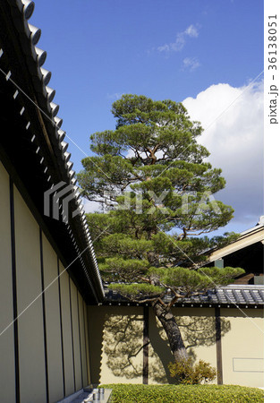 京都迎賓館　ゲストハウス　黒松 36138051