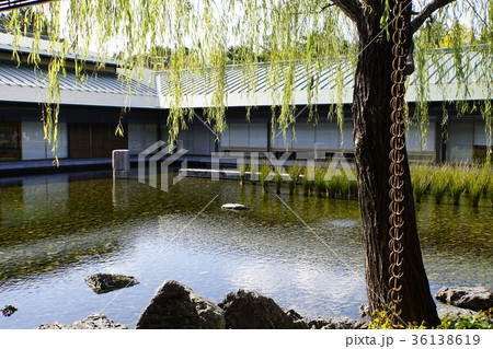 京都迎賓館 中庭 池 京都迎賓館 中庭 池 36138619