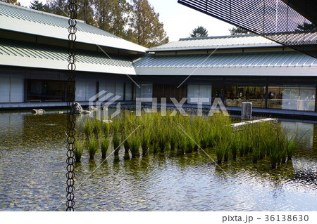 京都迎賓館 中庭 池 京都迎賓館 中庭 池 36138630