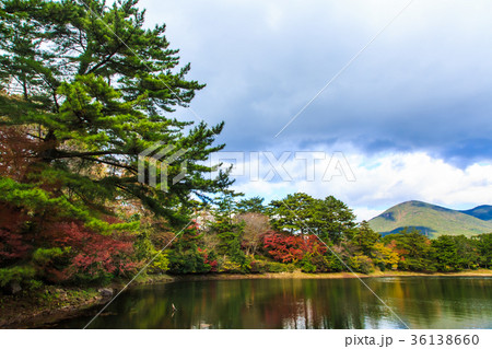 野岳湖の紅葉 長崎県大村市 野岳湖の紅葉 長崎県大村市 36138660