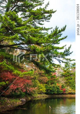 野岳湖の紅葉 長崎県大村市 野岳湖の紅葉 長崎県大村市 36138664