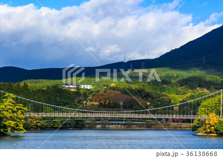 野岳湖の紅葉 長崎県大村市 野岳湖の紅葉 長崎県大村市 36138668