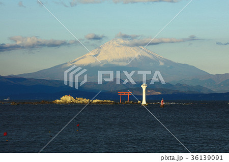 湘南海岸の富士山 36139091