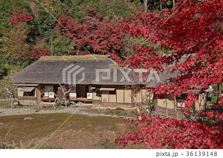 秋の西山荘 秋の西山荘 36139148
