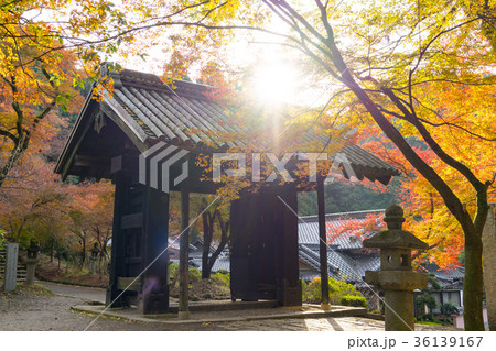 秋月の黒門 36139167