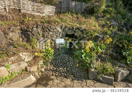 哲学堂公園 36139528