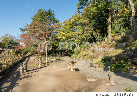 哲学堂公園 哲学堂公園 36139535