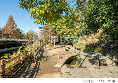 哲学堂公園 36139536