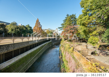 哲学堂公園 哲学堂公園 36139537