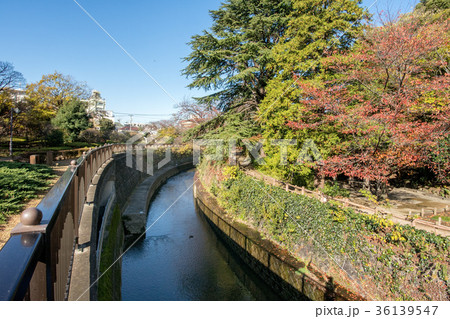 哲学堂公園 36139547