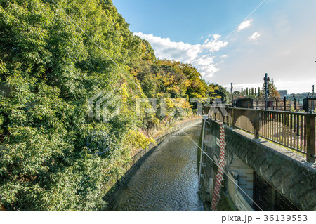 哲学堂公園 36139553