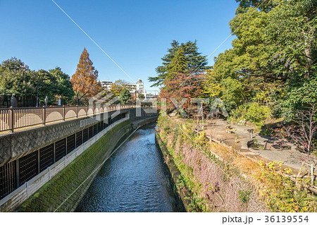 東京都中野区、新宿区の哲学堂公園 東京都中野区、新宿区の哲学堂公園 36139554