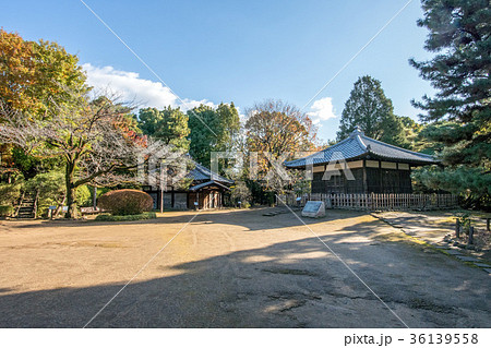 哲学堂公園 36139558