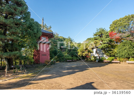 東京都新宿区の哲学堂公園 36139560