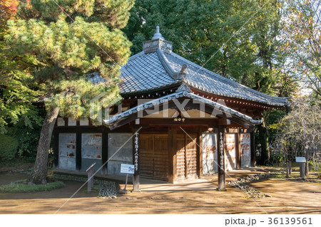 東京都中野区の哲学堂公園 36139561