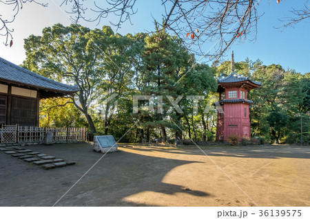 哲学堂公園 36139575