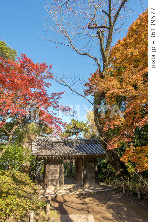 東京都中野区の哲学堂公園 36139577
