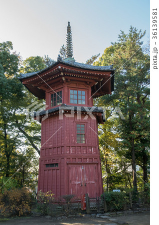 哲学堂公園 36139581