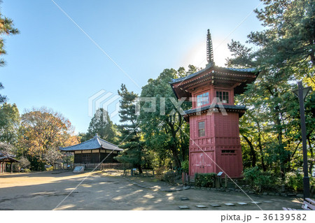 東京都中野区、新宿区の哲学堂公園 36139582