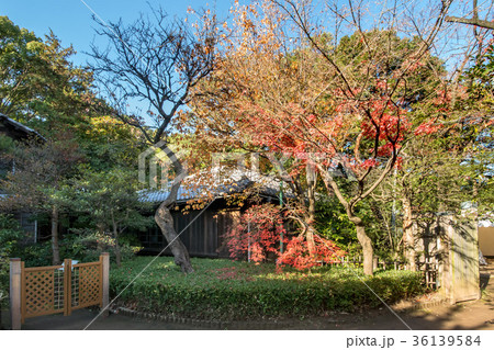 哲学堂公園 36139584