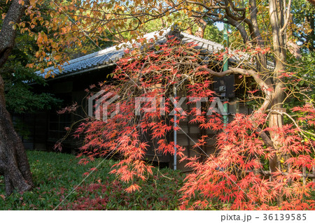 哲学堂公園 哲学堂公園 36139585