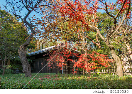 東京都中野区の哲学堂公園 36139586