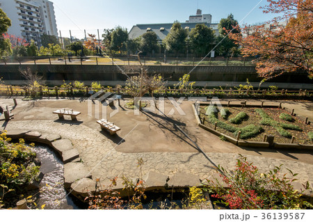 哲学堂公園 哲学堂公園 36139587