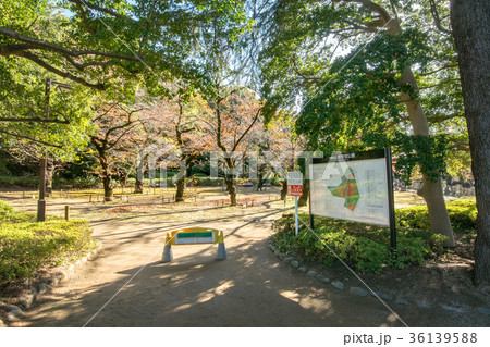 哲学堂公園 36139588