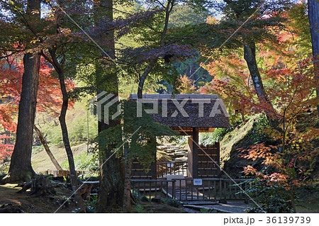 秋の西山荘 通用門 秋の西山荘 通用門 36139739