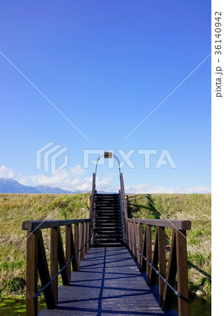 未来へと架かる橋 36140942
