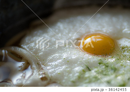 とろろうどん とろろうどん 36142455