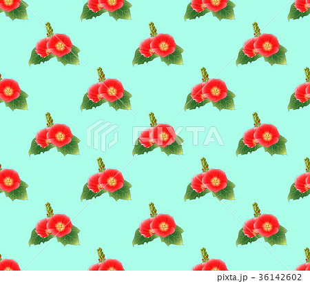Red Hollyhock on Green Mint Background 36142602