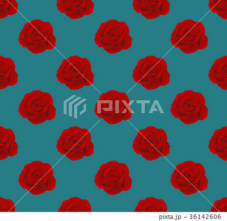 Red Rose on Seamless Blue Teal Background 36142606