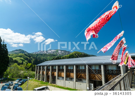 新潟県立 こども自然王国 青空とこいのぼり 新潟県立 こども自然王国 青空とこいのぼり 36143305