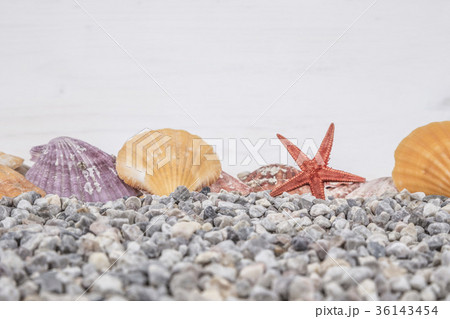 Summer background with seashells 36143454