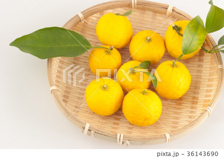 柚子 柚子 36143690