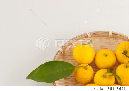 柚子 柚子 36143691