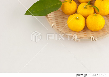 柚子 柚子 36143692