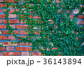 壁 かべ 赤色 36143894