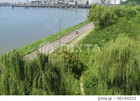 ソウルの森 東湖大橋 ソウル 36144521