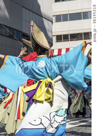 よさこい祭 36145319
