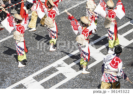 よさこい祭 よさこい祭 36145322