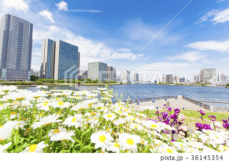 庭園のある都市風景 庭園のある都市風景 36145354