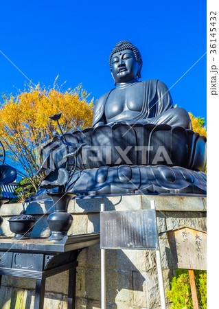 東京　板橋区　秋の東京大仏 36145432